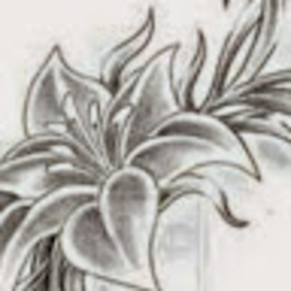 Meet your Posher, Kas